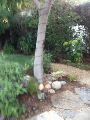 Gary's Greenery - Landscape Construction in Los Angeles, CA