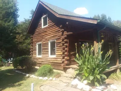 Timber Cabin — House Painting Services project by Carl Custom Painting
