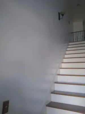 Complete White — House Painting Services project by Emerging Futures LLC