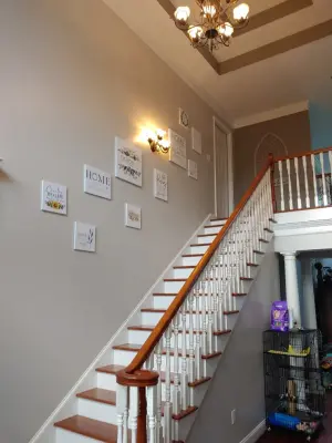 Fine Finishes Custom Painting Co - Handyman Services in Midland, NC