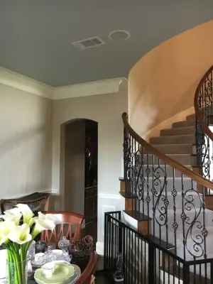 Carnival Custom Painting - Siding & Exterior Remodeling in Flower Mound, TX