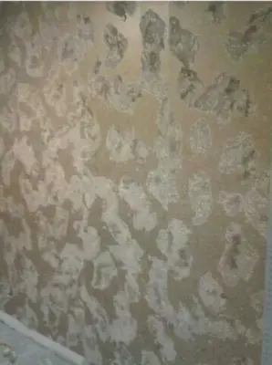 Meridian Painting INC - House Painting Services in Lansing, MI