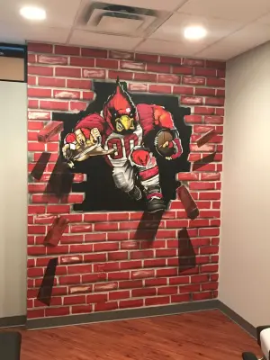 Wall Murals Az / Urban Art - House Painting Services in Gilbert, AZ