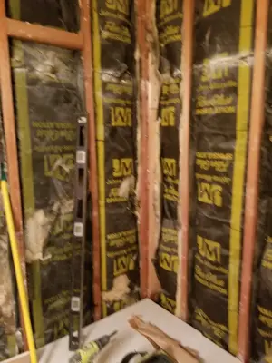 Restroom Renovation — House Painting Services project by Adam Raupp Painting