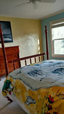 Nashville Bedroom Mural — House Painting Services project by Nashville House Painters
