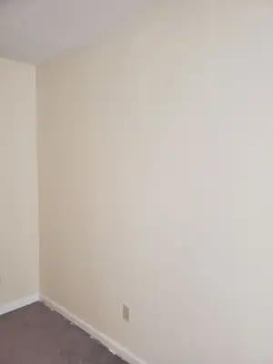 Bedroom Mural Initiative — House Painting Services project by Fancy Home Refacing LLC