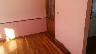 My Guyz Painting - House Painting Services in Whitehall, MI