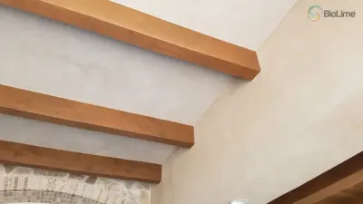 BioLime LLC - House Painting Services in Waco, TX