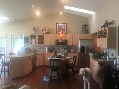 Bold Island Kitchen Renovation — House Painting Services project by PMV Painting