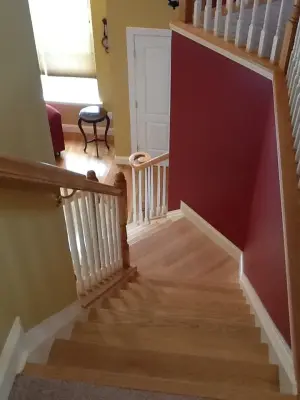 Sturdy Walls — House Painting Services project by Forza Painting, Inc.