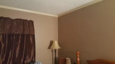 Theater Residence — House Painting Services project by Mountain Valley Construction LLC