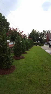 Georgia Landscaper Network - Landscape Construction in Atlanta, GA