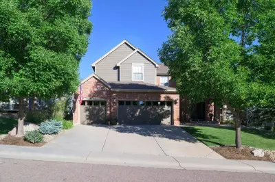 Exemplary Painting - Interior Design & Decorating in Highlands Ranch, CO