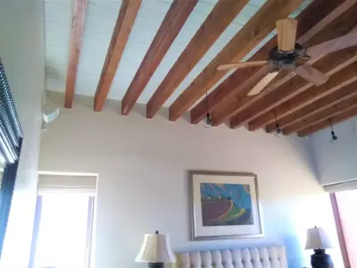 Ceiling artwork — House Painting Services project by Busby Finishes