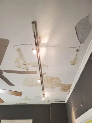 Water Damage Restoration for Drywall and Plaster Ceilings in Chicago — House Painting Services project by Windy City Painters