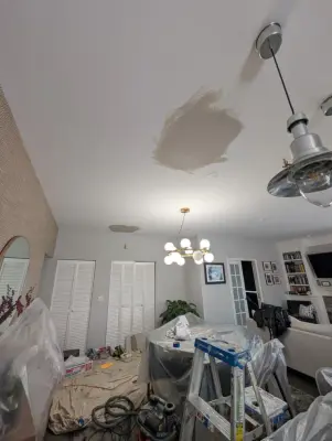 Chicago drywall repair for ceiling water damage — House Painting Services project by Windy City Painters