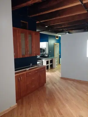 Printer's Row, Chicago — House Painting Services project by Z&Z Painting And Restoration Inc.