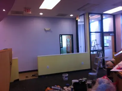 Blue Sky Painting & Carpentry - Carpentry & Woodworking in Columbia, MD