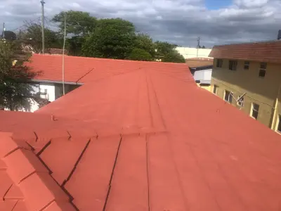 Residential Roof Painting for Communities — House Painting Services project by Prime Pro's Of South Florida