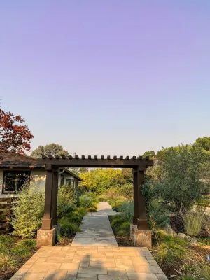 GMZ Landscaping INC - Landscape Construction in Redwood City, CA
