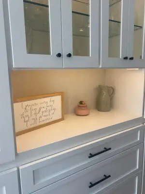 Tailor-made wall unit — House Painting Services project by Premiere Pros