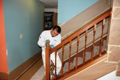 Bespoke Interior Staining — House Painting Services project by Absolute Painting & Power Washing
