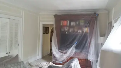 Bespoke Interiors — House Painting Services project by THE NEXT GENERATION | Robinson Painting LLC