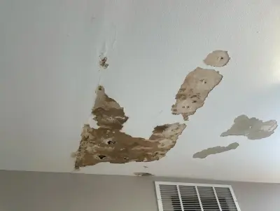 Wall Restoration and Interior Painting — House Painting Services project by Precision Painting