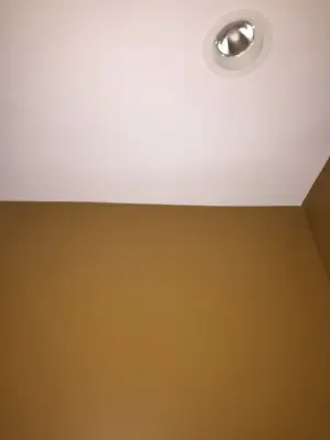 Drywall Repair Services for Candice — House Painting Services project by Speed Pro Painting