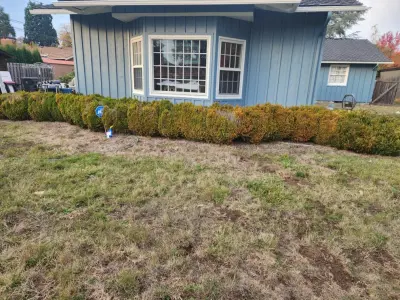 Dylan's Painting LLC - House Painting Services in Albany, OR