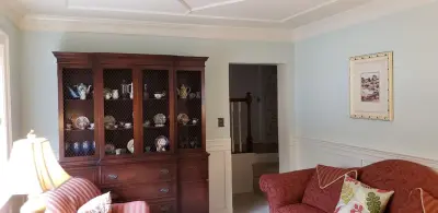 Living Room Repaint from Floor to Ceiling — House Painting Services project by Top Notch Painting LLC