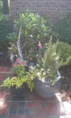 Landscape Innovation Inc. - Garden Remodeling in Fisherville, KY