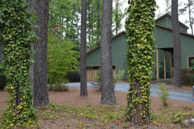 Outdoors — House Painting Services project by Fresh Coat Painters