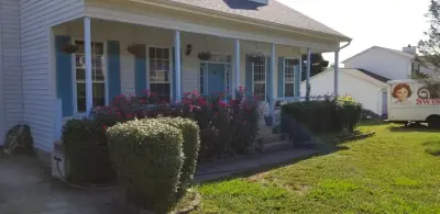 Dog & Cat Painting - Interior Design & Decorating in Rockwood, TN