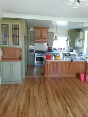 Hignett Painting - Handyman Services in Lucernemines, PA