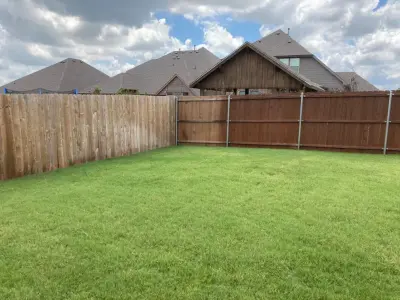 Blue Dog Pro Painters - House Painting Services in Dallas, TX