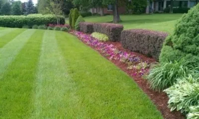Landscape Innovation Inc. - Garden Remodeling in Fisherville, KY