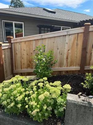 Fence Coating — House Painting Services project by All Terrain Painting & Repairs NW