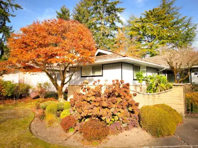 Fircrest Renovation — House Painting Services project by All Terrain Painting & Repairs NW