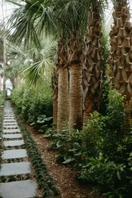 Palm Garden — Landscape Design project by C&P Outdoor Design