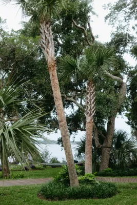 C&P Outdoor Design - Garden Remodeling in Jacksonville, FL
