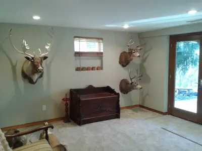 Brave Fox Major Basement Renovation — House Painting Services project by Bristle Painting Company