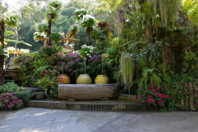 Capital Landscape - Outdoor Lighting Installation in Roseville, CA