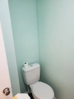 Eco-Friendly Restroom — House Painting Services project by Joy's Custom Painting