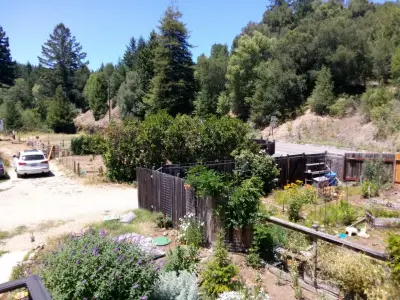 Dave Allen and Associates - Carpentry & Woodworking in Forestville, CA