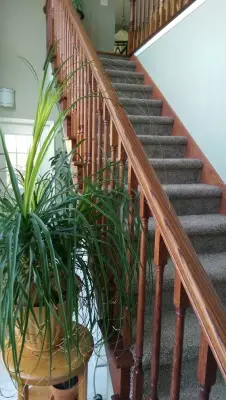 CertaPro Painters of Bloomington & Peoria,IL - House Painting Services in Bloomington, IL
