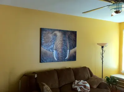 Family Living Space — House Painting Services project by CertaPro Painters Of Chesterfield MO