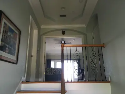 Sarasota Painting & Wall Covering - House Painting Services in Sarasota, FL