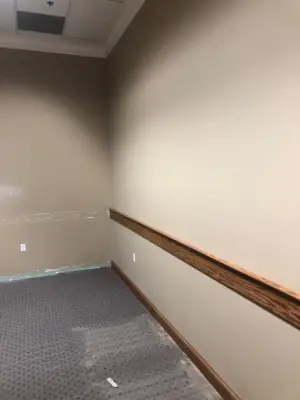 Office Interior Project Three — House Painting Services project by DPI Quality Custom Finishes