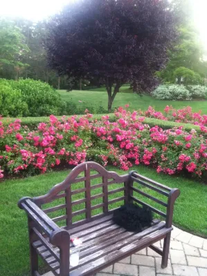 Cappiello Landscaping, Inc. - Irrigation System Repair in Commack, NY